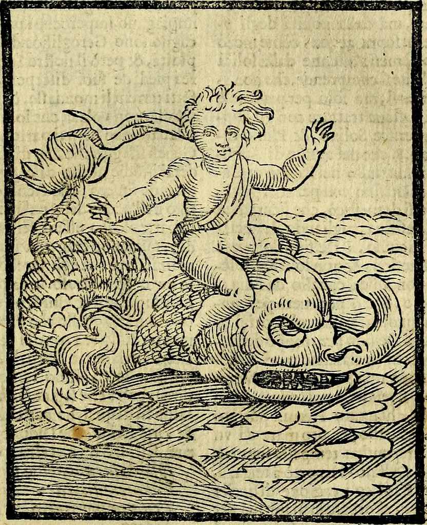 An illustration from Della piu che novissima iconologia, 1630, leaf 152