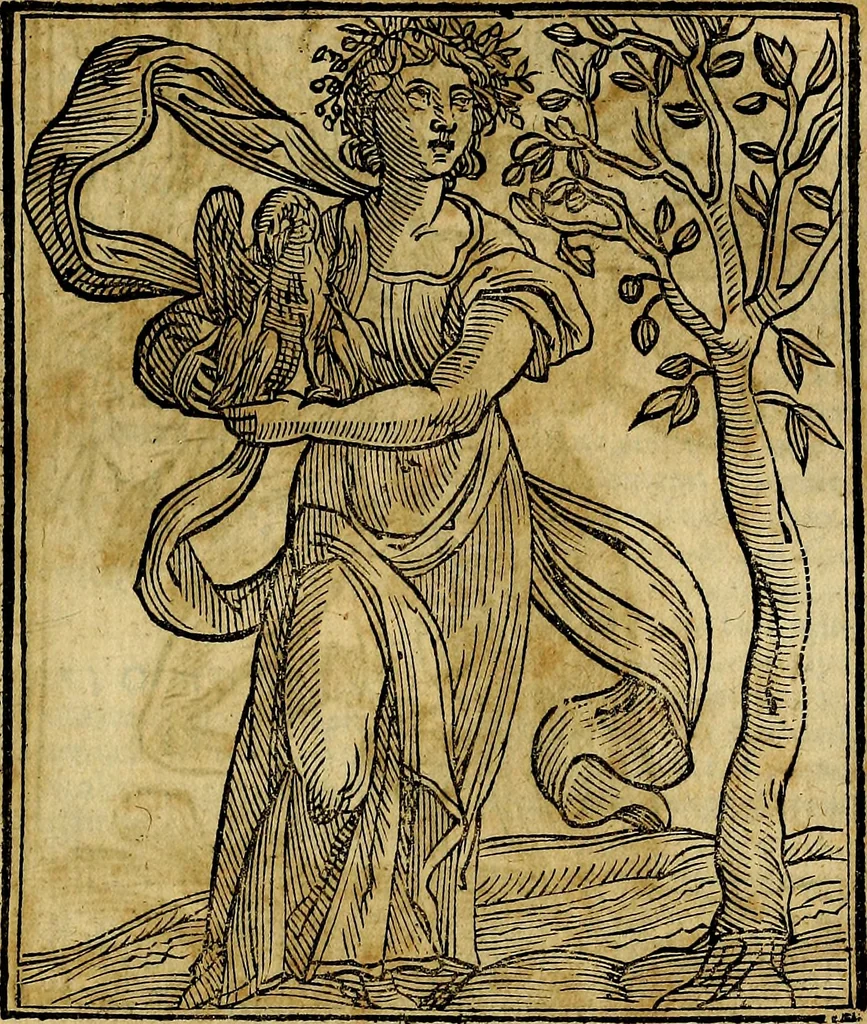 An illustration from Della piu che novissima iconologia, 1630, leaf 194