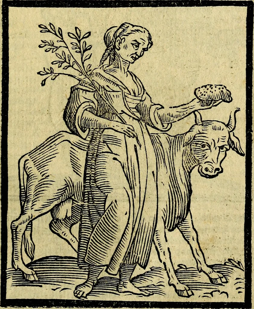 An illustration from Della piu che novissima iconologia, 1630, leaf 206