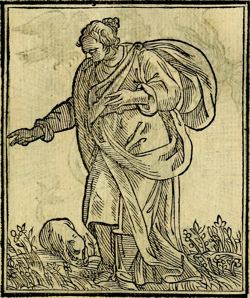 An illustration from Della piu che novissima iconologia, 1630, leaf 212