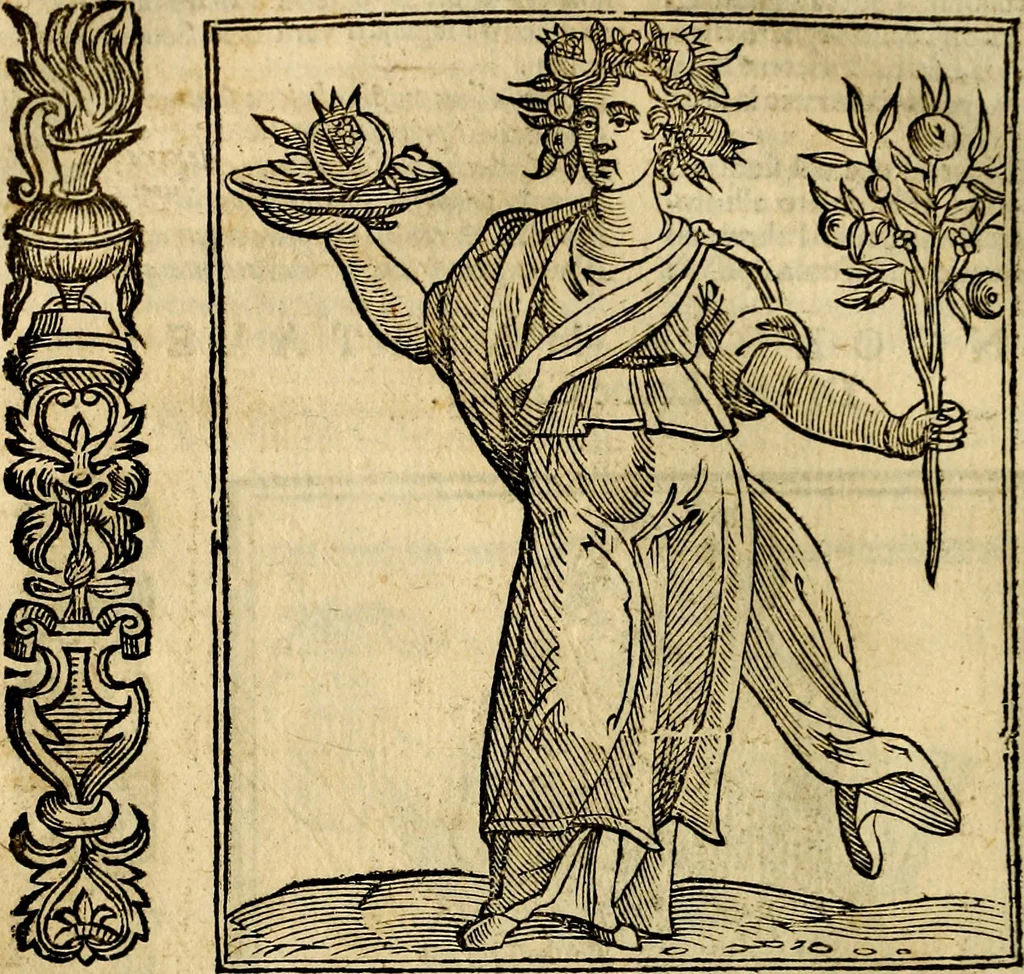 An illustration from Della piu che novissima iconologia, 1630, leaf 227