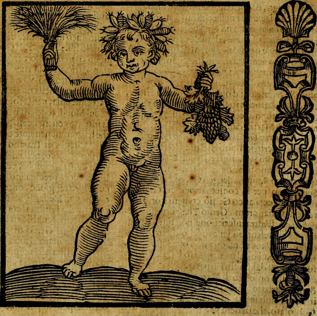 An illustration from Della piu che novissima iconologia, 1630, leaf 388