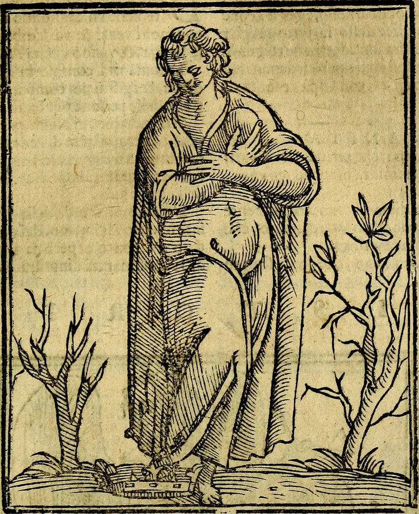 An illustration from Della piu che novissima iconologia, 1630, leaf 420