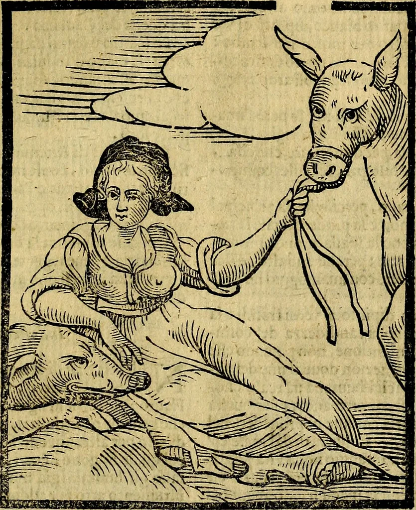 An illustration from Della piu che novissima iconologia, 1630, leaf 432