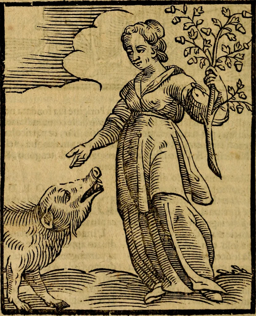 An illustration from Della piu che novissima iconologia, 1630, leaf 439
