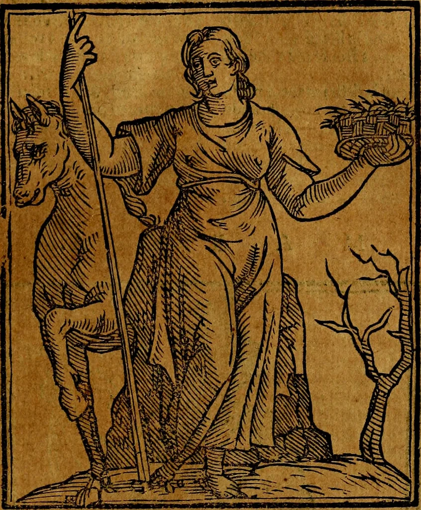 An illustration from Della piu che novissima iconologia, 1630, leaf 492