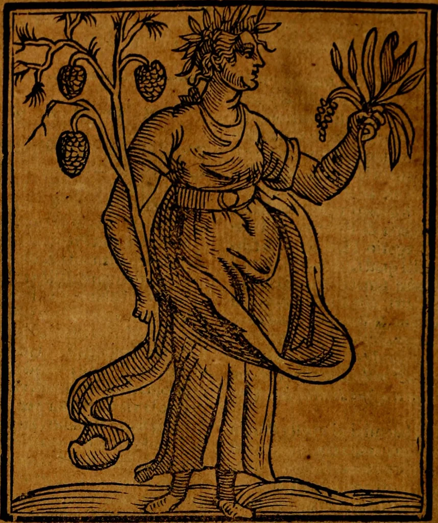 An illustration from Della piu che novissima iconologia, 1630, leaf 495