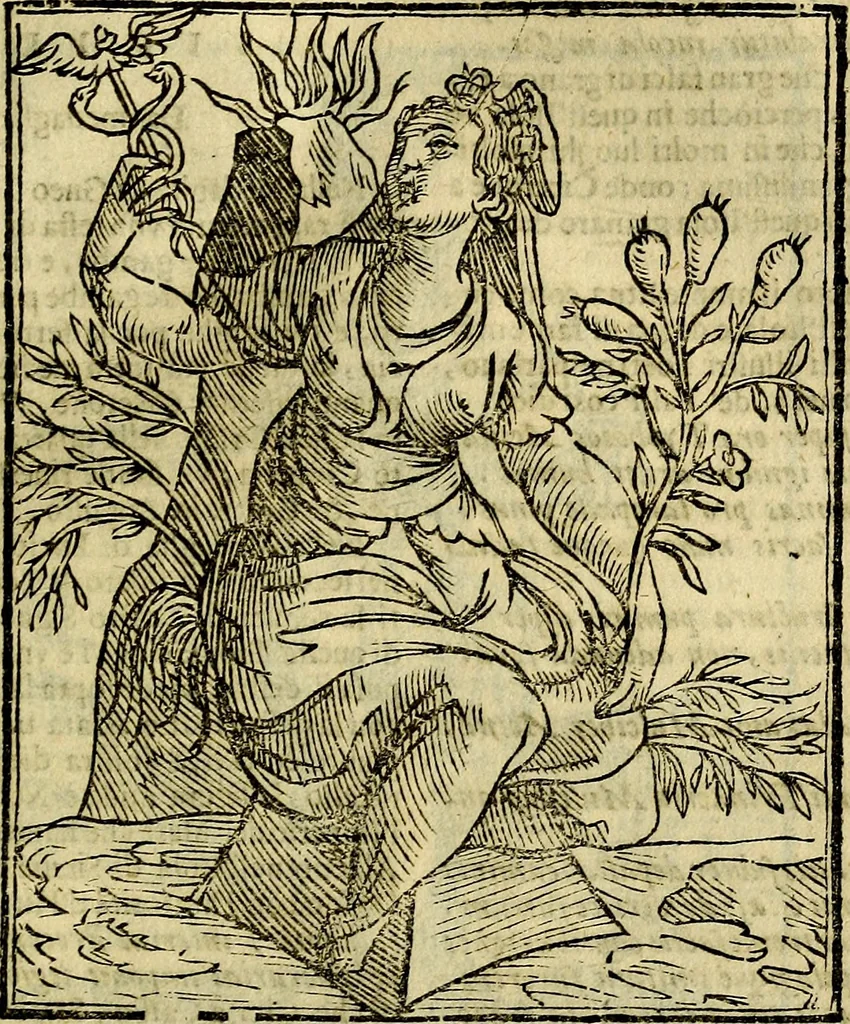An illustration from Della piu che novissima iconologia, 1630, leaf 526