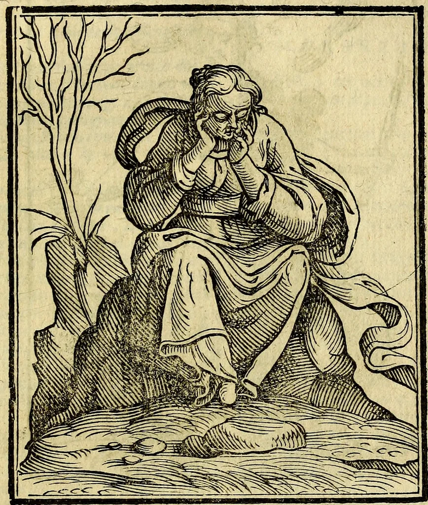 An illustration from Della piu che novissima iconologia, 1630, leaf 554