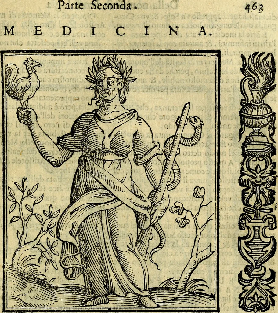 An illustration from Della piu che novissima iconologia, 1630, leaf 562