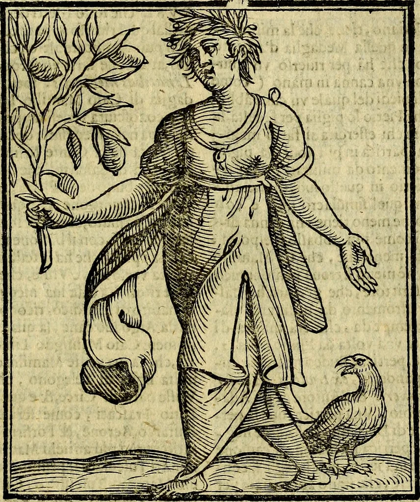 An illustration from Della piu che novissima iconologia, 1630, leaf 578