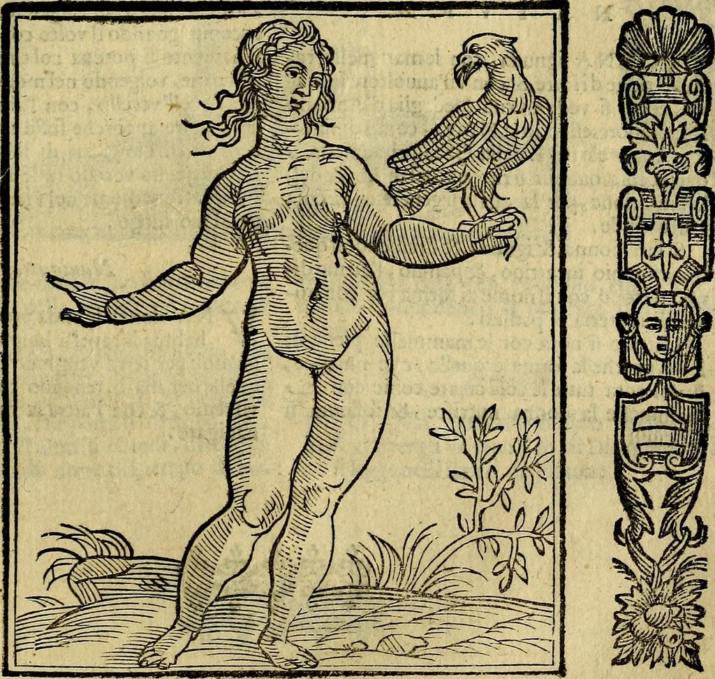 An illustration from Della piu che novissima iconologia, 1630, leaf 606