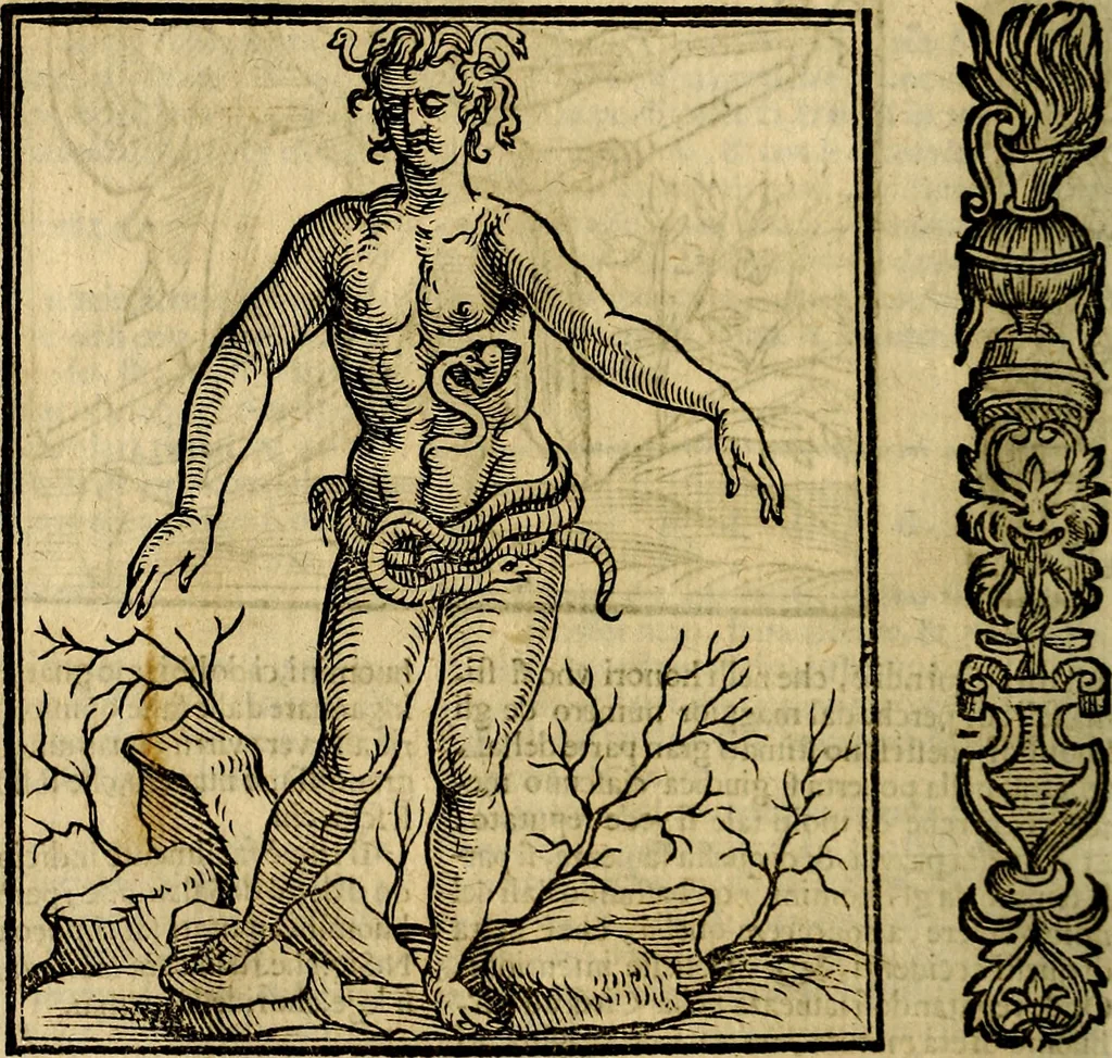 An illustration from Della piu che novissima iconologia, 1630, leaf 657