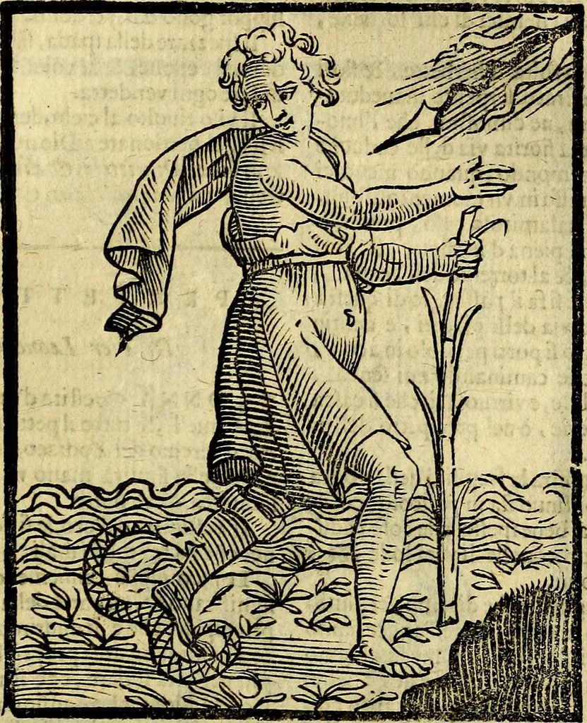 An illustration from Della piu che novissima iconologia, 1630, leaf 662