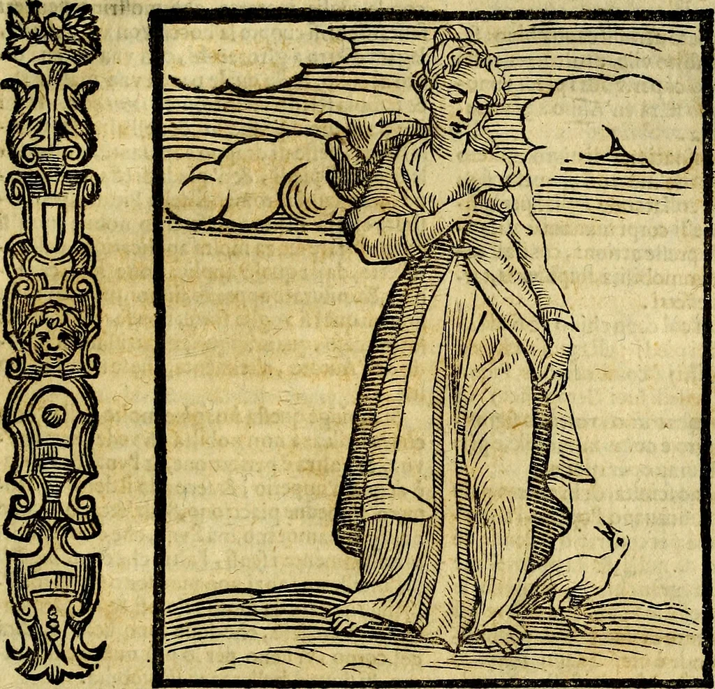 An illustration from Della piu che novissima iconologia, 1630, leaf 672