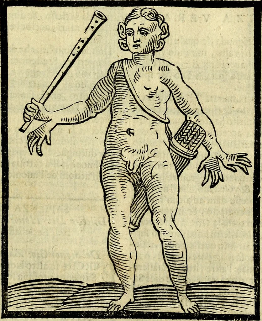 An illustration from Della piu che novissima iconologia, 1630, leaf 742
