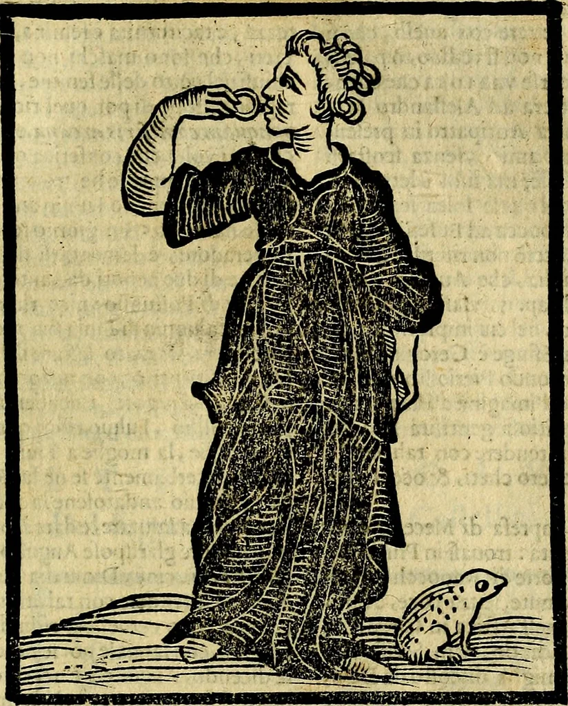 An illustration from Della piu che novissima iconologia, 1630, leaf 756
