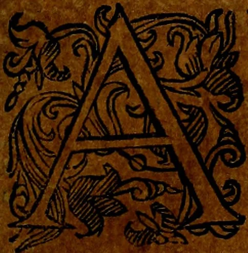 An illustration from Della piu che novissima iconologia, 1630, leaf 78