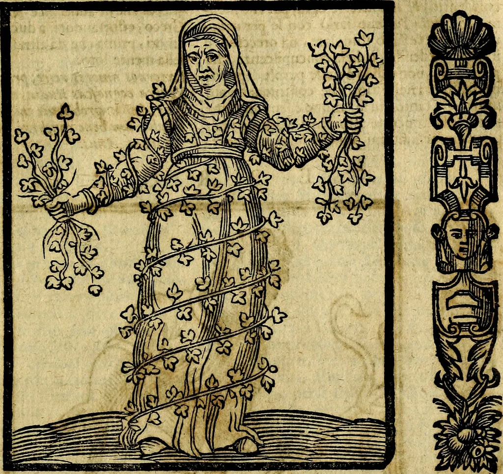 An illustration from Della piu che novissima iconologia, 1630, leaf 824