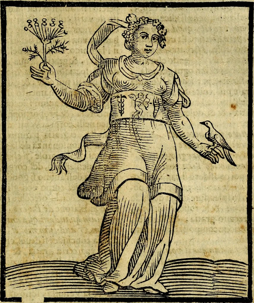 An illustration from Della piu che novissima iconologia, 1630, leaf 852
