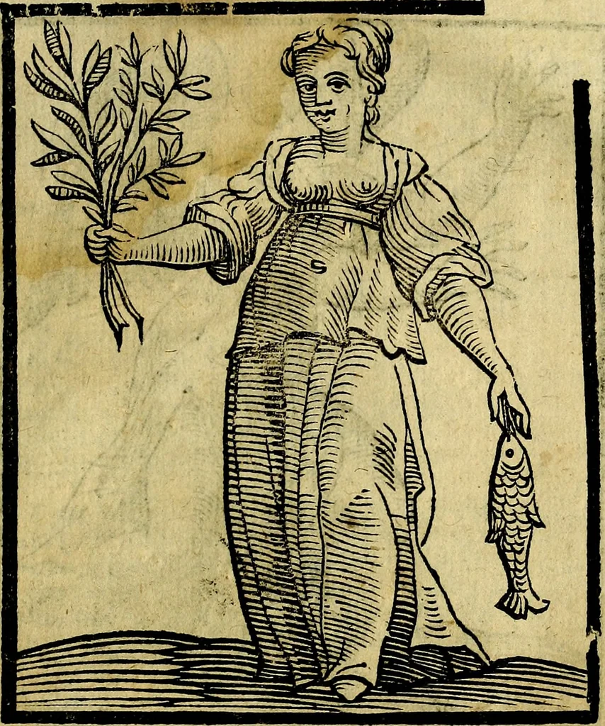 An illustration from Della piu che novissima iconologia, 1630, leaf 892