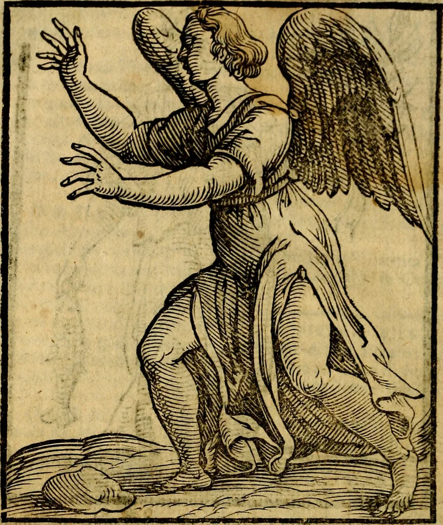 An illustration from Della piu che novissima iconologia, 1630, leaf 893