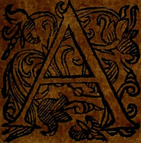 An illustration from Della piu che novissima iconologia, 1630, leaf 98