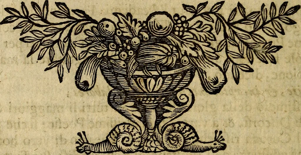 An illustration from Della piu che novissima iconologia, 1630, leaf 11