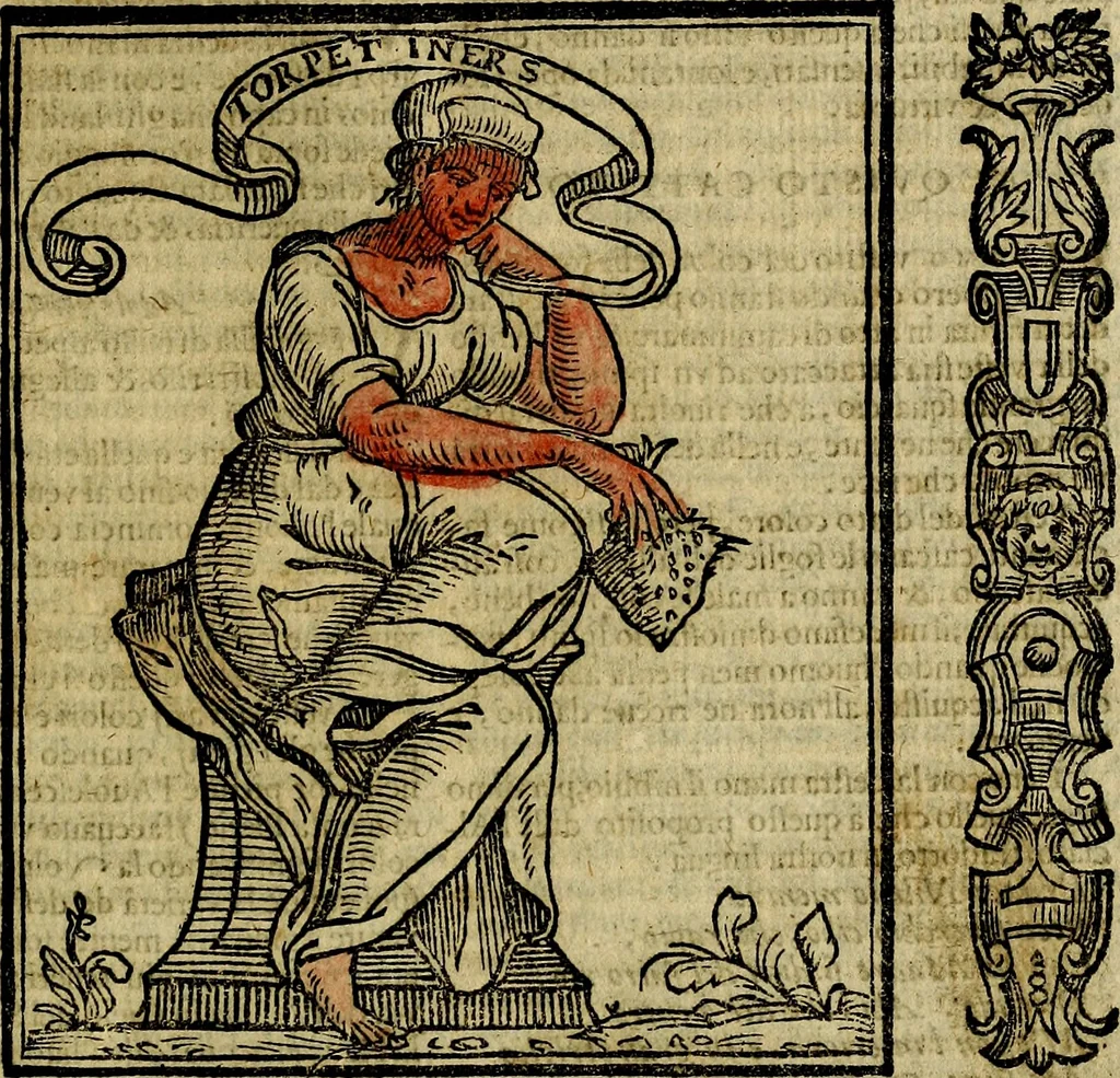 An illustration from Della piu che novissima iconologia, 1630, leaf 108