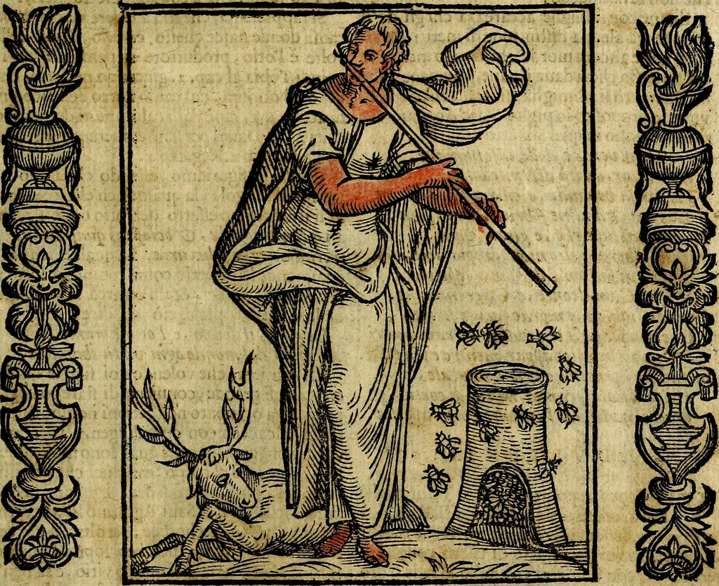 An illustration from Della piu che novissima iconologia, 1630, leaf 114