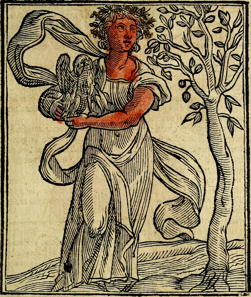 An illustration from Della piu che novissima iconologia, 1630, leaf 184