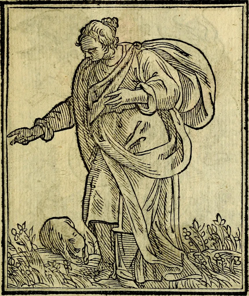 An illustration from Della piu che novissima iconologia, 1630, leaf 202