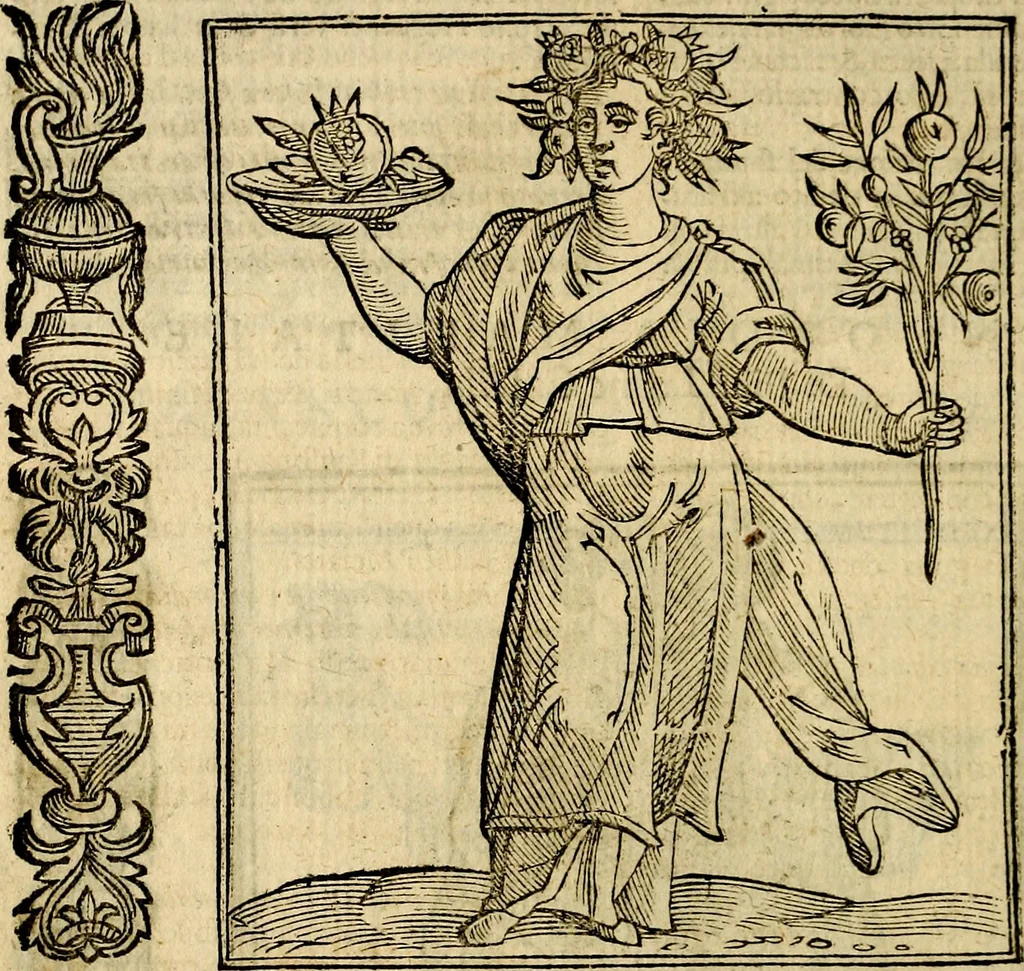 An illustration from Della piu che novissima iconologia, 1630, leaf 217
