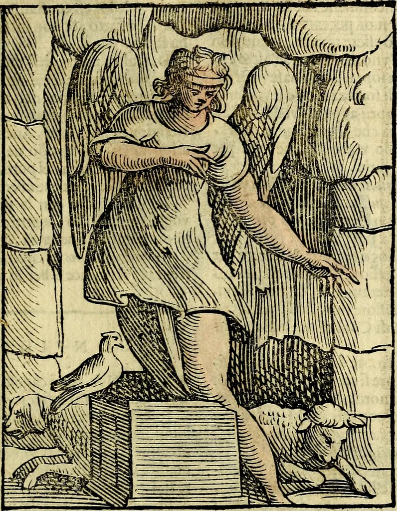 An illustration from Della piu che novissima iconologia, 1630, leaf 220