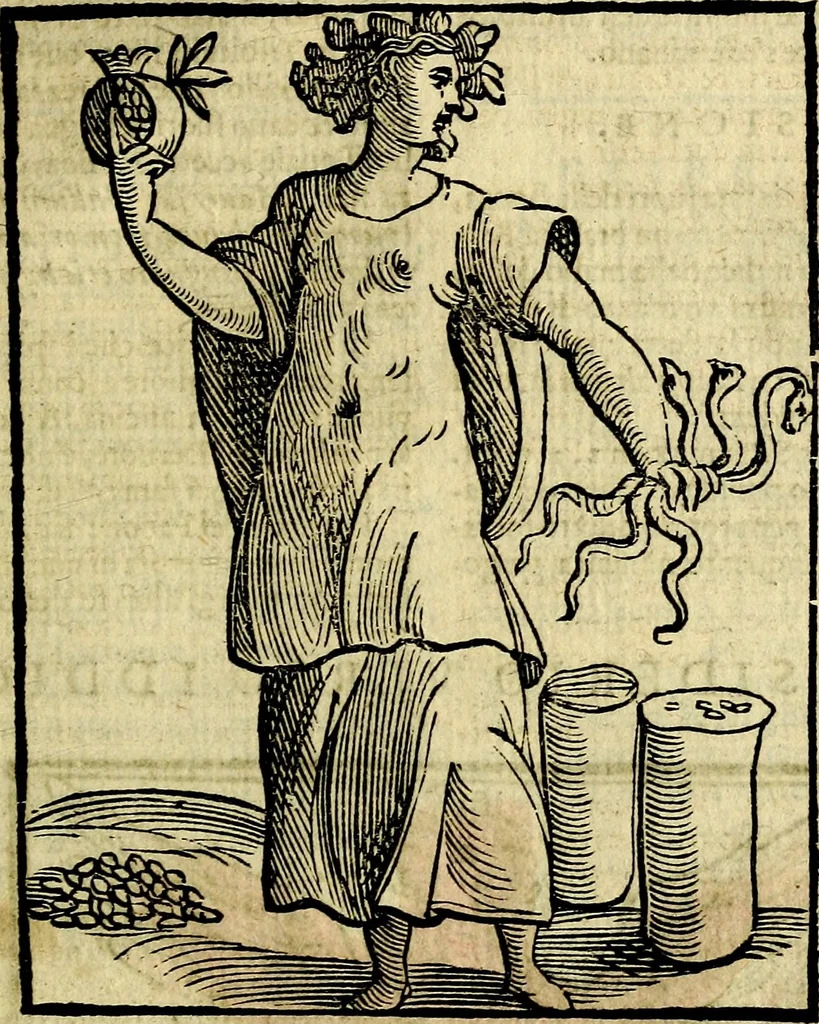 An illustration from Della piu che novissima iconologia, 1630, leaf 266