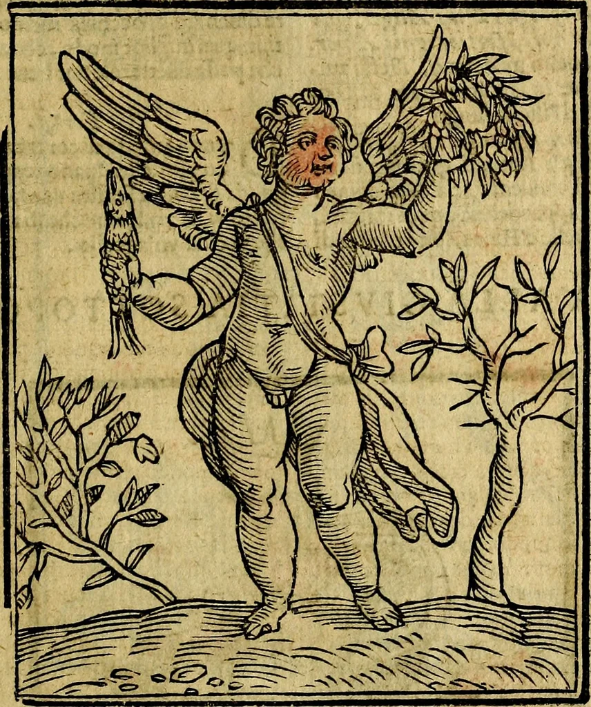 An illustration from Della piu che novissima iconologia, 1630, leaf 364