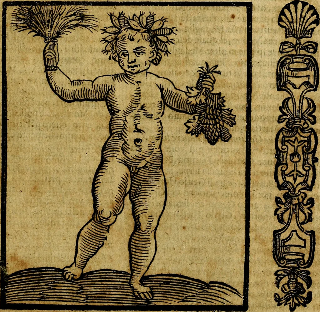 An illustration from Della piu che novissima iconologia, 1630, leaf 382