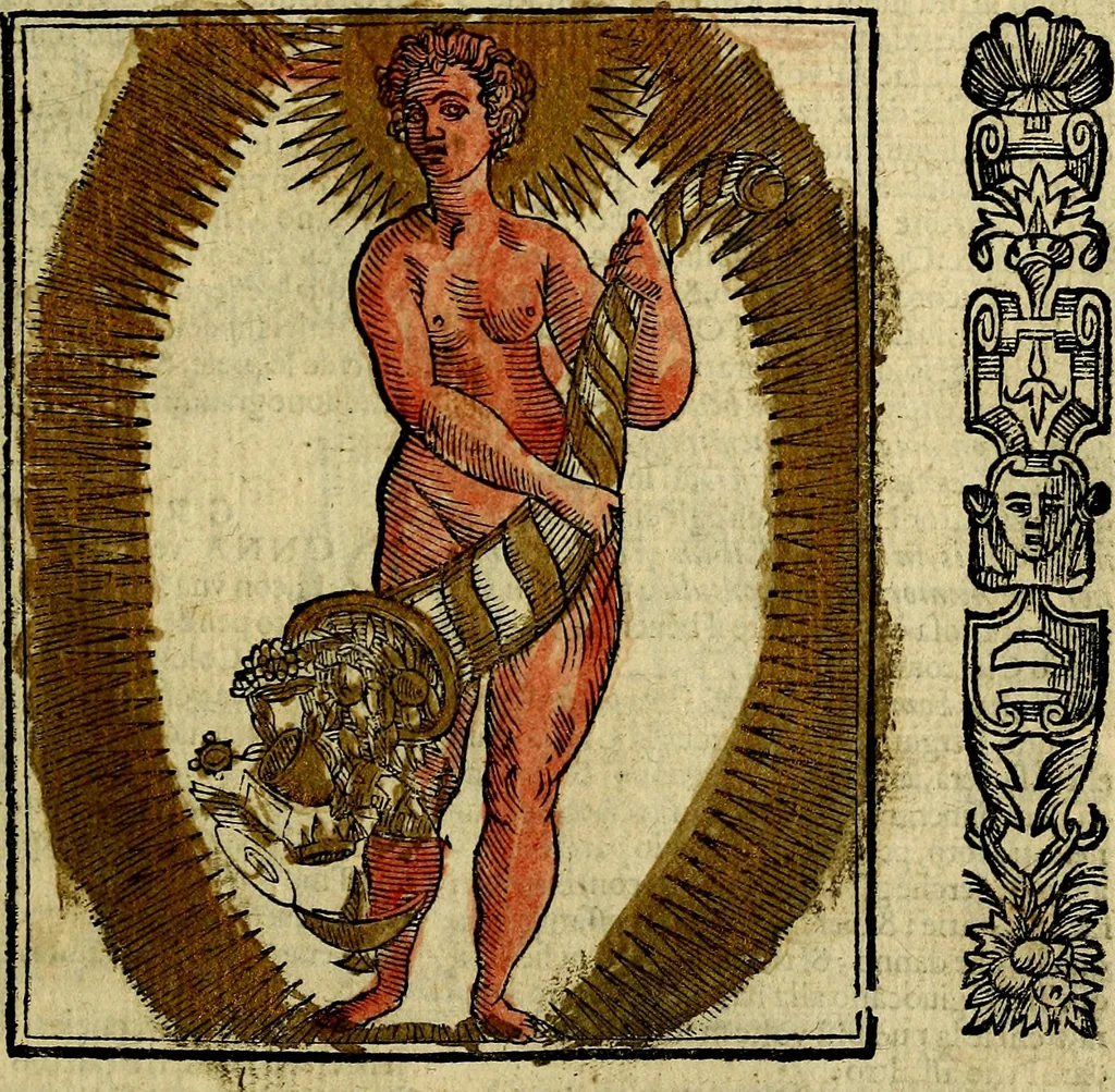 An illustration from Della piu che novissima iconologia, 1630, leaf 396
