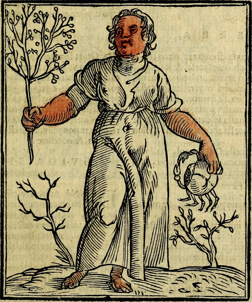 An illustration from Della piu che novissima iconologia, 1630, leaf 398