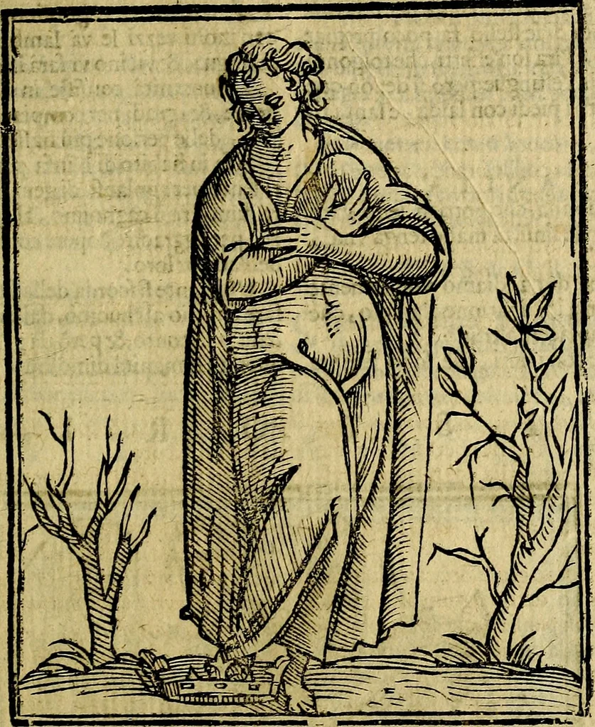 An illustration from Della piu che novissima iconologia, 1630, leaf 414