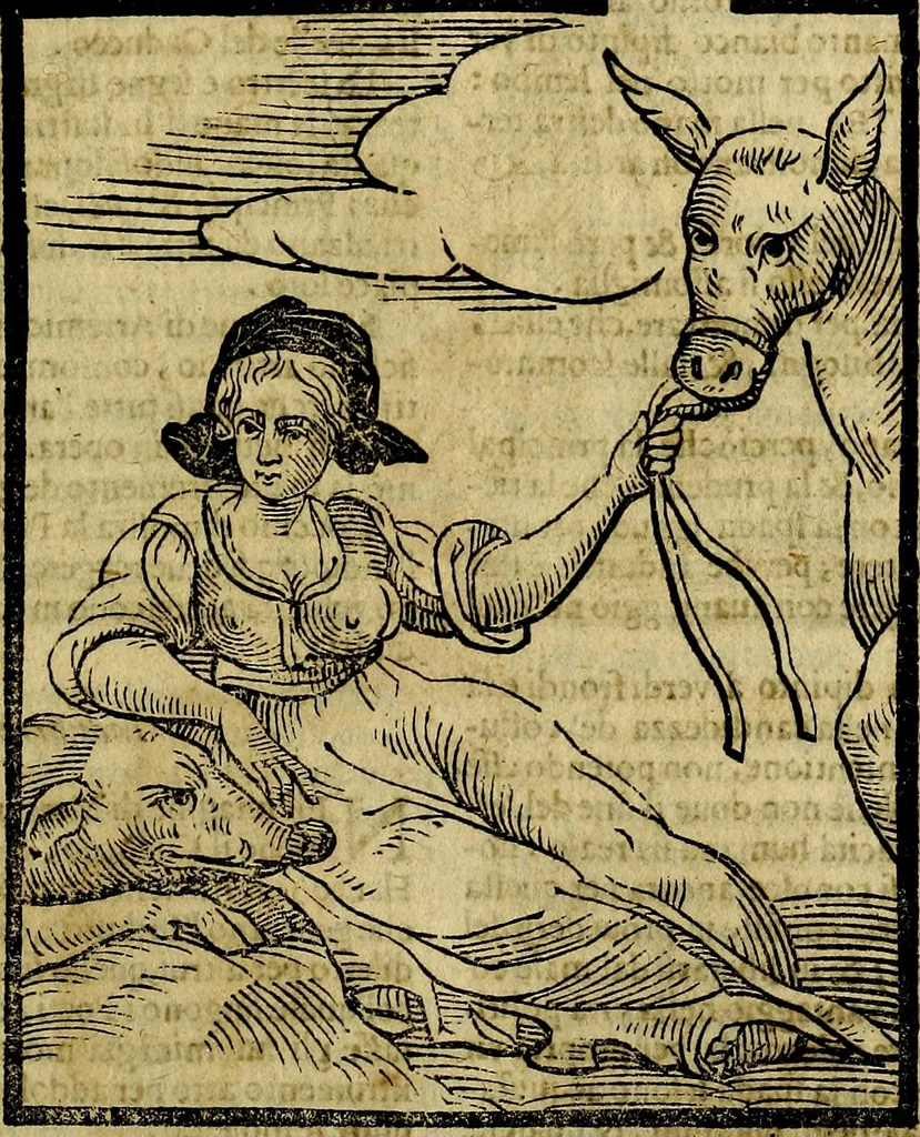An illustration from Della piu che novissima iconologia, 1630, leaf 426