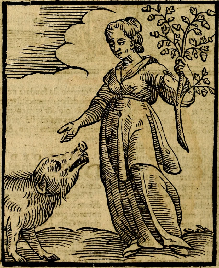 An illustration from Della piu che novissima iconologia, 1630, leaf 433