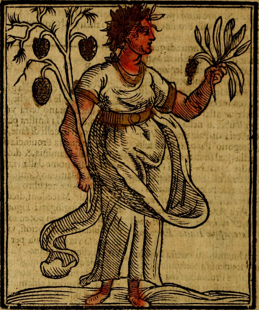 An illustration from Della piu che novissima iconologia, 1630, leaf 491