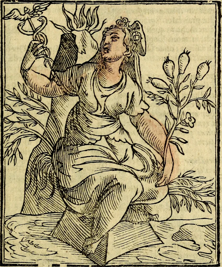 An illustration from Della piu che novissima iconologia, 1630, leaf 520