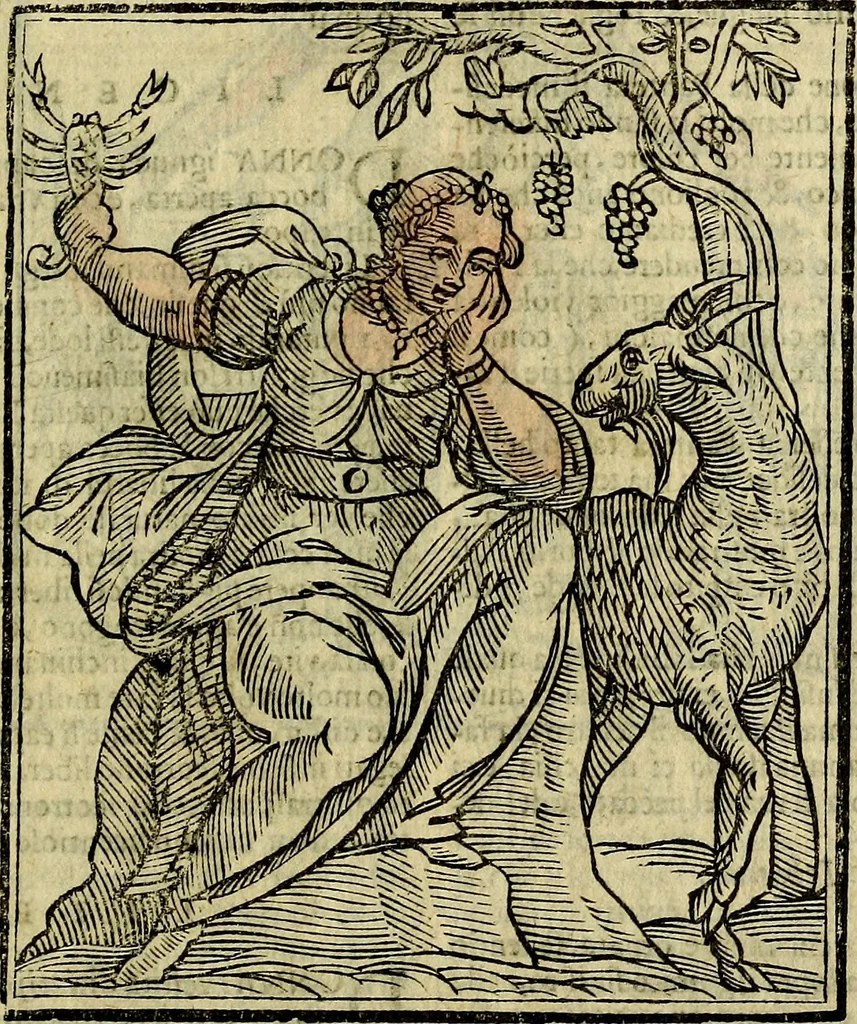 An illustration from Della piu che novissima iconologia, 1630, leaf 538