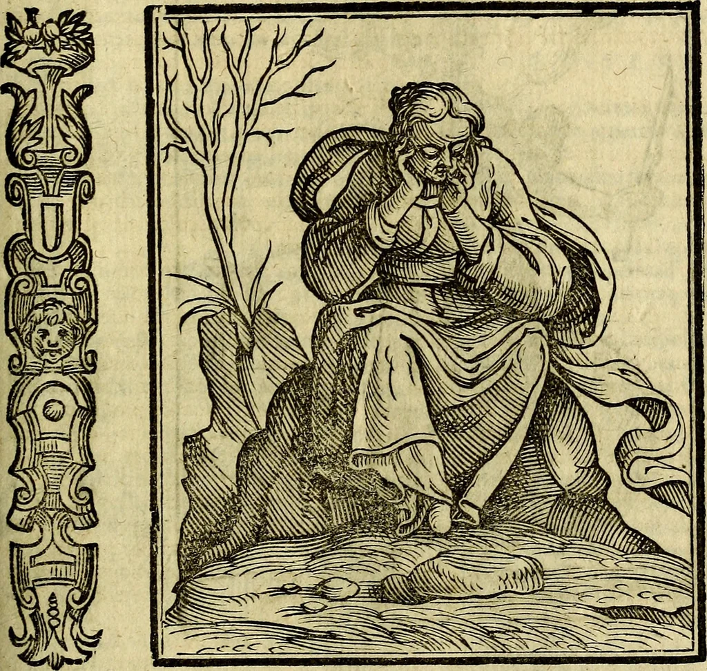 An illustration from Della piu che novissima iconologia, 1630, leaf 548