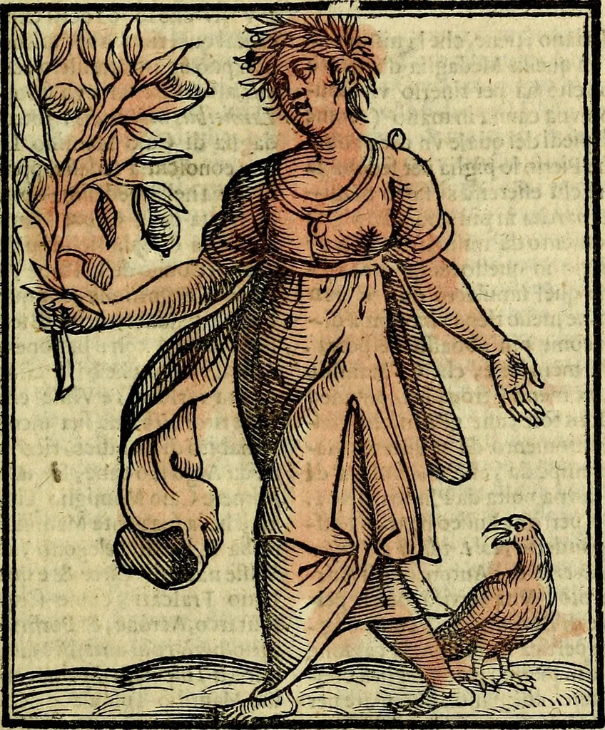 An illustration from Della piu che novissima iconologia, 1630, leaf 570