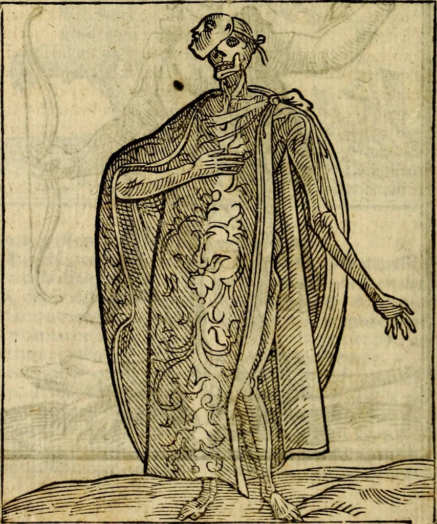 An illustration from Della piu che novissima iconologia, 1630, leaf 589