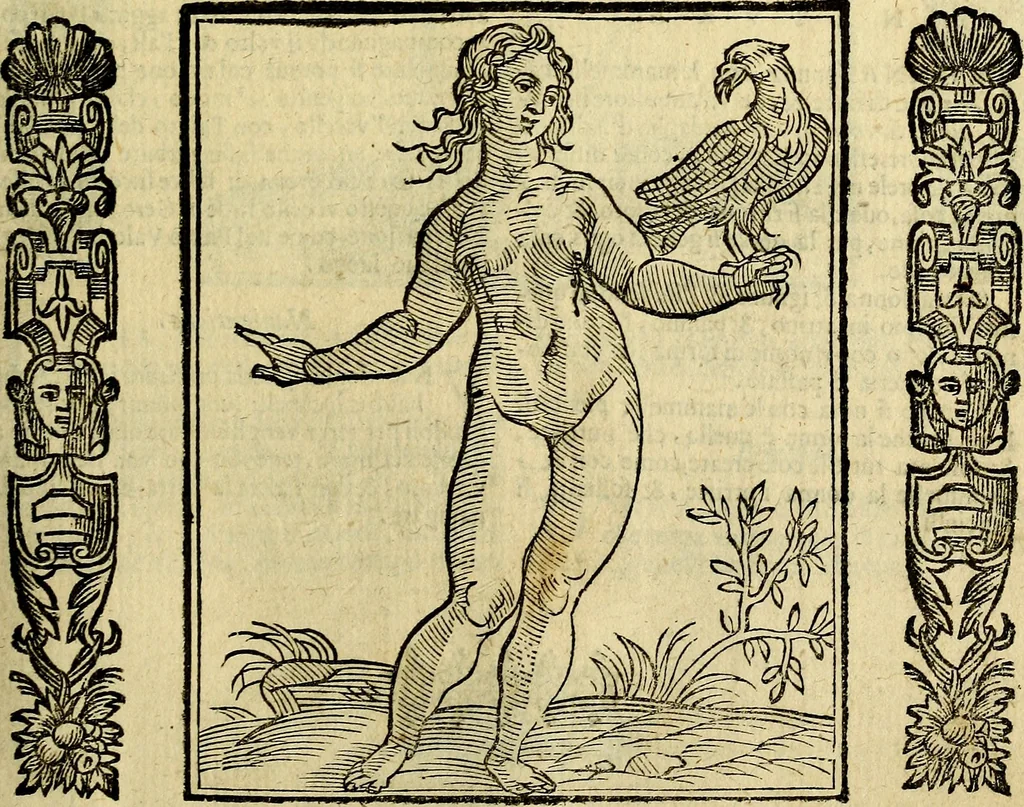 An illustration from Della piu che novissima iconologia, 1630, leaf 598