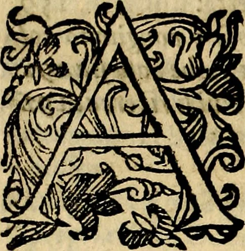 An illustration from Della piu che novissima iconologia, 1630, leaf 61